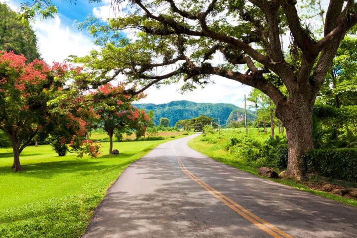 La naturaleza y el clima de Cuba La naturaleza y el clima de Cuba