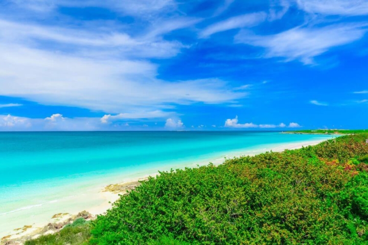 Playa Varadero CubaNeo Travel, Agencia de viajes a Cuba