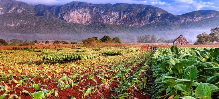 Viñales Pinar del Río Cuba Viñales Pinar del Río Cuba