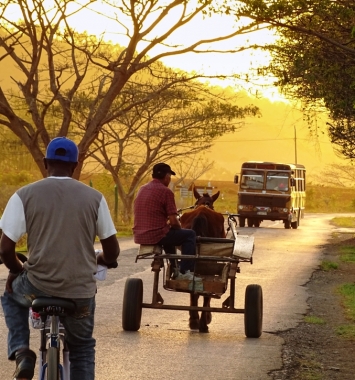 Transporte en los campos cubanos la Cuba profunda. viajar a Cuba. Agencia CubaNeo Travel Transporte en los campos cubanos la Cuba profunda. viajar a Cuba. Agencia CubaNeo Travel