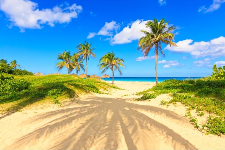 Playa Varadero CubaNeo Travel Agencia de Viajes a Cuba Playa Varadero CubaNeo Travel Agencia de Viajes a Cuba