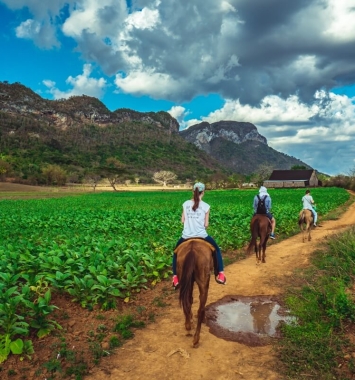 Viajes en grupo organizados excursión caballo en Viñales