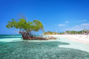 Cayo Jutías, Pinar del Río Cuba