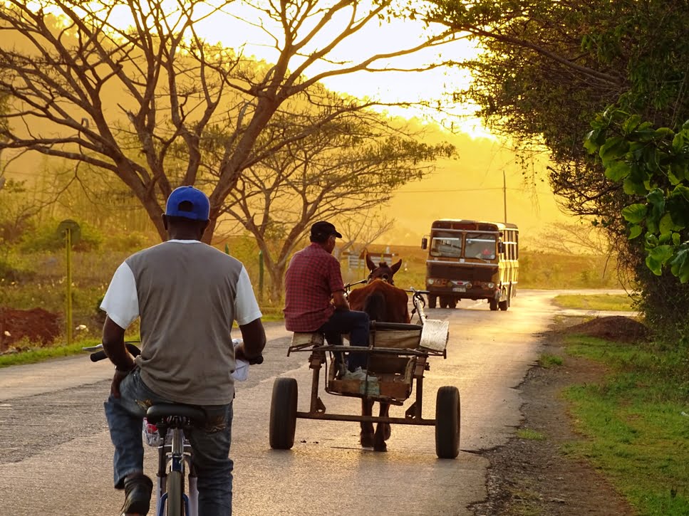 Transporte en los campos cubanos la Cuba profunda. viajar a Cuba. Agencia CubaNeo Travel