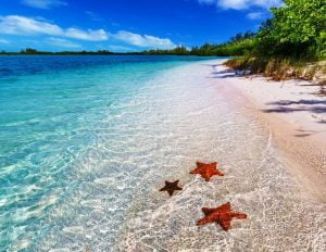 Viajar a Cuba Cayo Levisa CubaNeo Travel