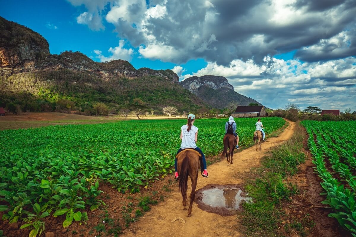 Tours Viñalesn-caballo-en-vinales Tours Viñales